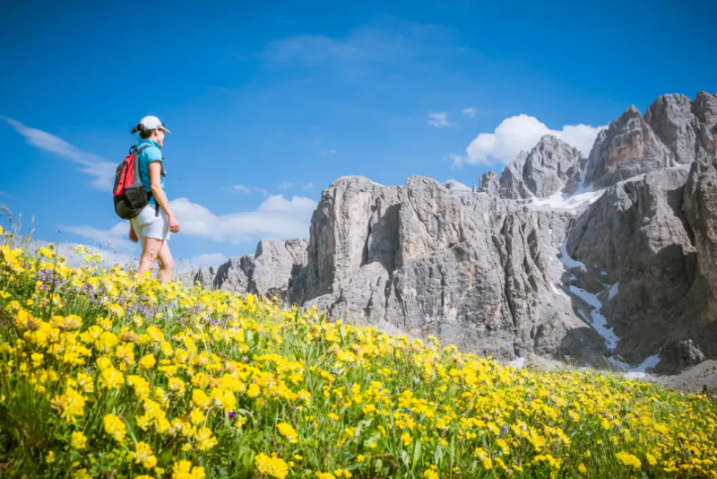 Gele bloemen met de Dolomieten op de achtergrond in Val Gardena