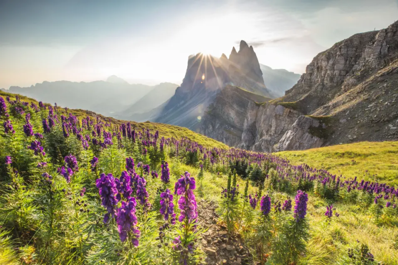 Uitzicht op seceda