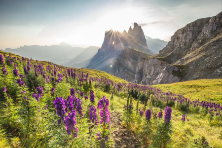 Uitzicht op seceda