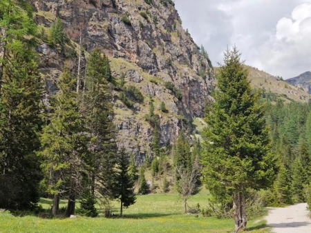 Alm met almgebouwen en een grindpad, dolomieten op de achtergrond – Panoramaronde om de Puflatsch, Val Gardena