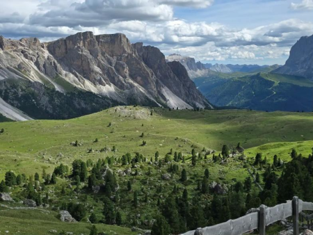 Wijdse alm met verspreide sparren en de Langkofel in de verte – Almwandeling naar Sanon en Contrin, Val Gardena