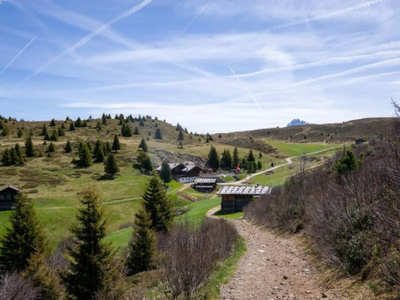 Scherpe rotstorens van de Seceda tegen een blauwe lucht – Van Seceda naar Col Raiser (Geotrail 11), Val Gardena
