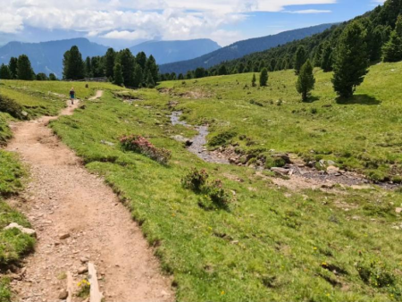 Grindweg langs een houten hek door de alm met bergen erachter – Bergmeer Lech Sant en de Gamsbluthut, Val Gardena