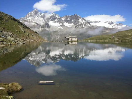 Aardepad door de alm met verspreide sparren en bergen op de achtergrond – Van Ortisei naar Rifugio Brogles, Val Gardena